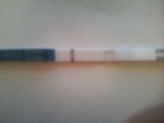 7 ДПО, БТ 36,9, ТЕСТ