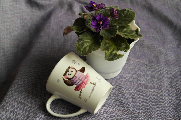 Кружка первая:)