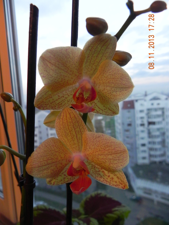 Уценка-сюрприз