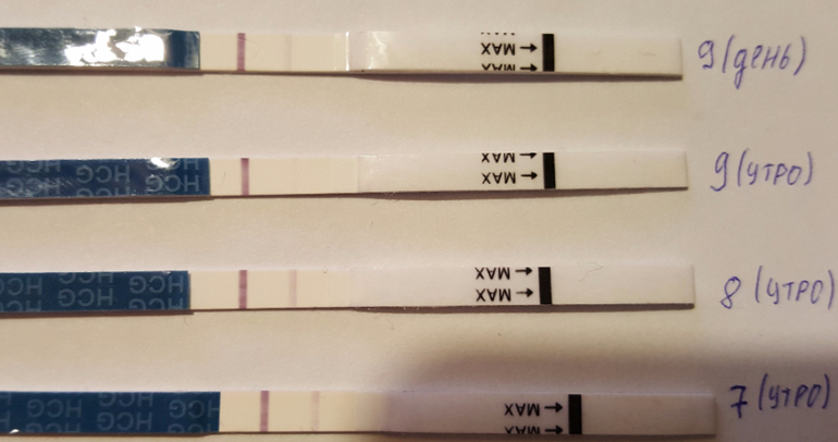 Криоперенос 5 дневных. Тесты после крио на ЗГТ. Ощущения после криопереноса. Тесты после криопереноса. Тест на беременность после эко.