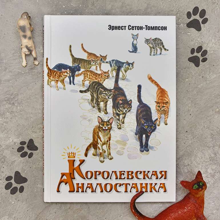 Книга королевская аналостанка. Книга Сетон-Томпсон Королевская Аналостанка. Э.Сетона-Томпсона "Королевская Аналостанка". Иллюстрации Сетона Томпсона к рассказу Королевская Аналостанка. Королевская Аналостанка книга.