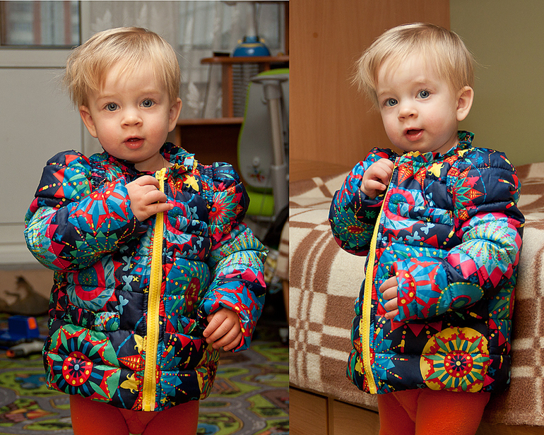 Курткохваст!