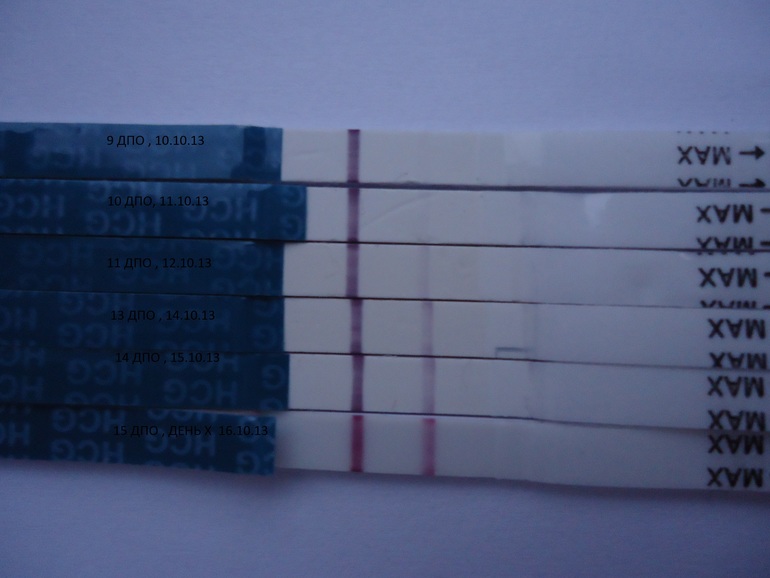 067be5c0ac4d2b7723011a50573f0feb.jpg