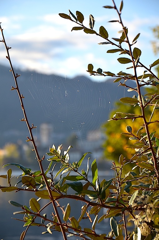 Oзеро Орта (Италия). Ноябрьские прогулки.