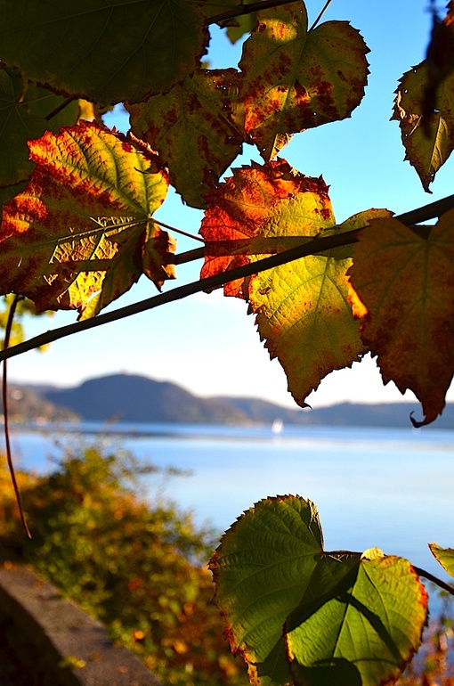 Oзеро Орта (Италия). Ноябрьские прогулки.