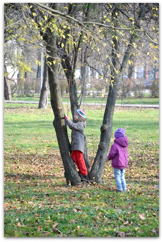 Мартышки и нога мамонта.