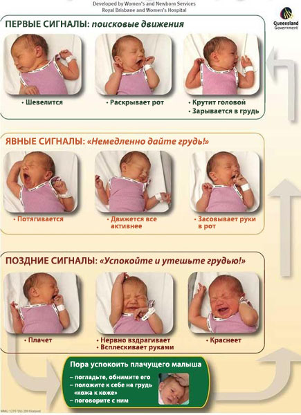 8eaf57a162ab0a29b34007f358171e9f.jpg