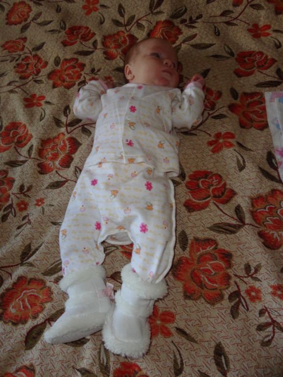 К зиме готовы