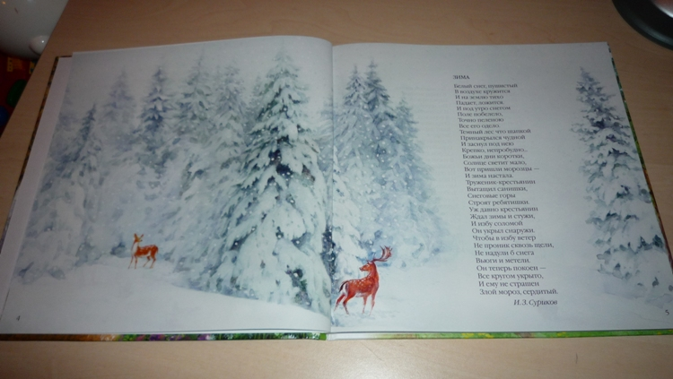 Наше книжное пополнение