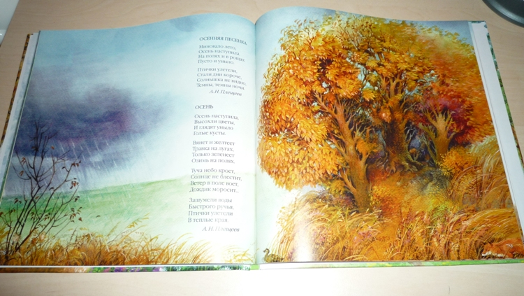 Наше книжное пополнение