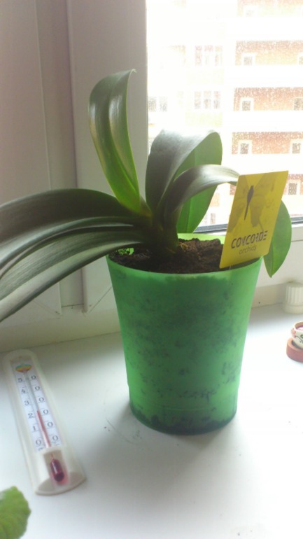 Ну и я похвастаюсь))