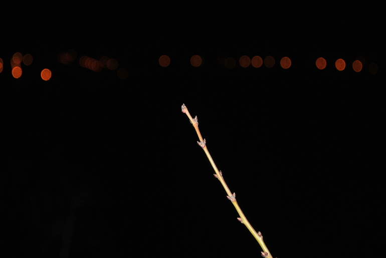 Покритикуйте пожалуйста!