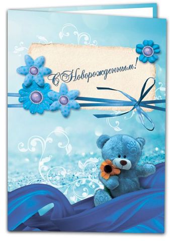 ПАПКИ ДЛЯ СВИДЕТЕЛЬСТВА О РОЖДЕНИИ И О БРАКЕ  100 И 200 РУБ