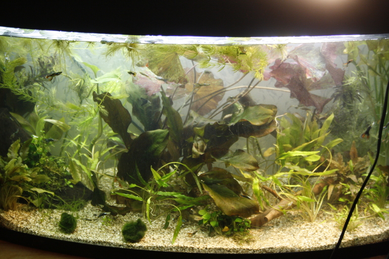 Наши малыши.