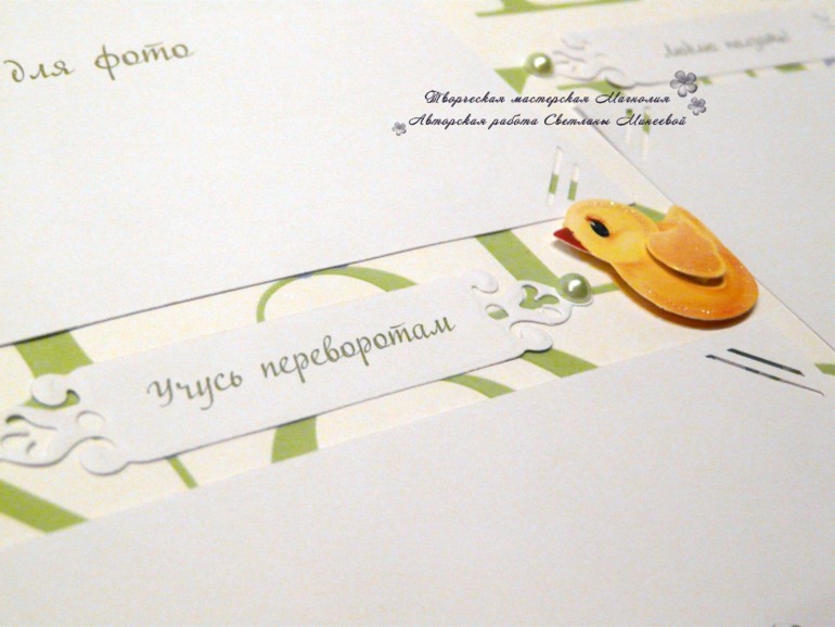 Большой фотоальбом для Матвея и папка для документов