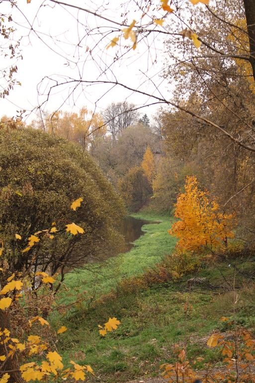 Пока не все листочки облетели