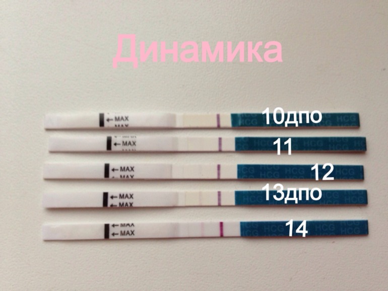 Сделала 14 дпо ) посмотрите как идет процесс)