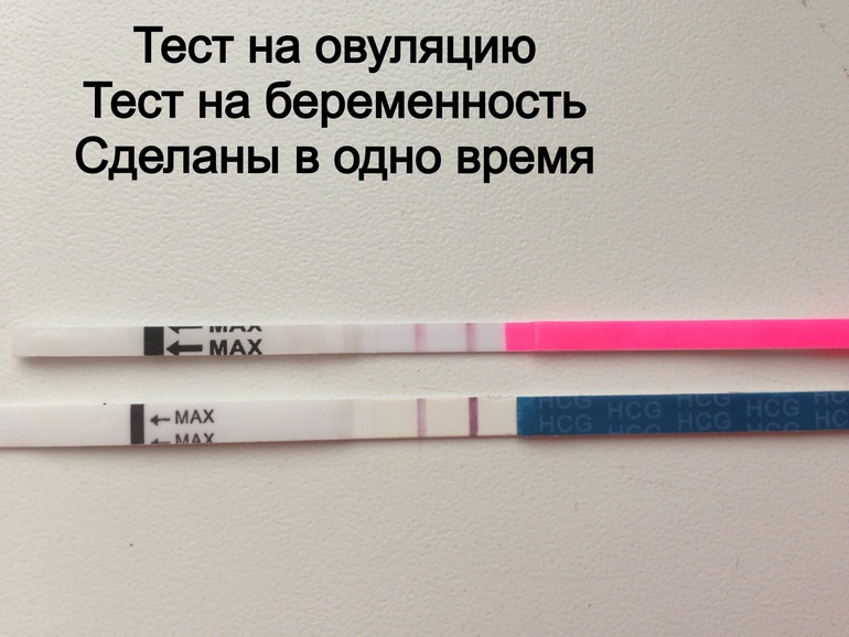 Тест на беременность. Тест на овуляцию и беременность. Тест на овуляцию при беременности. Тест на овуляцию и тест на беременность.