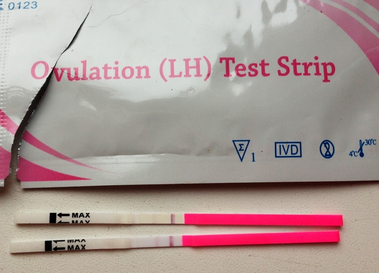 Девочки вот тематики и немного вопросов.