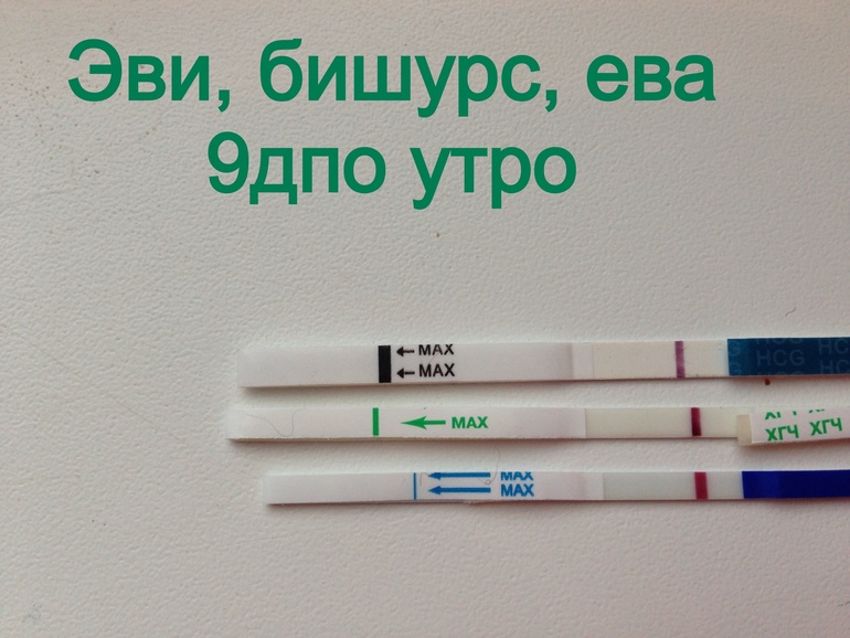 Фото тестов на беременность на 9 дпо
