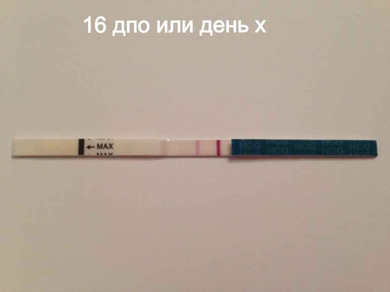 День х или 16 дпо ...