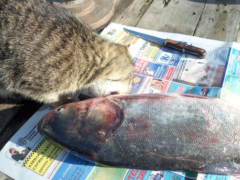 Что нашёл то и моё