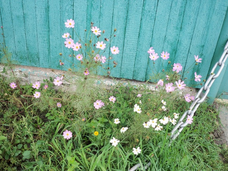 С октябрём!! ФМ