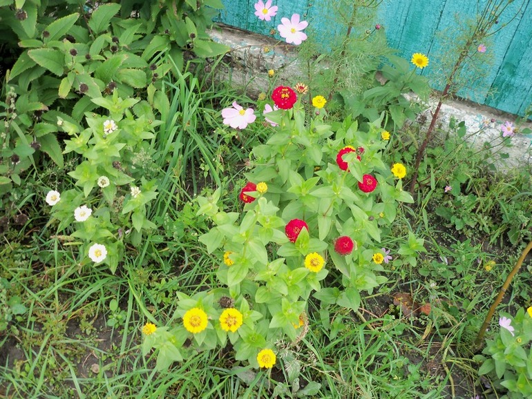 С октябрём!! ФМ