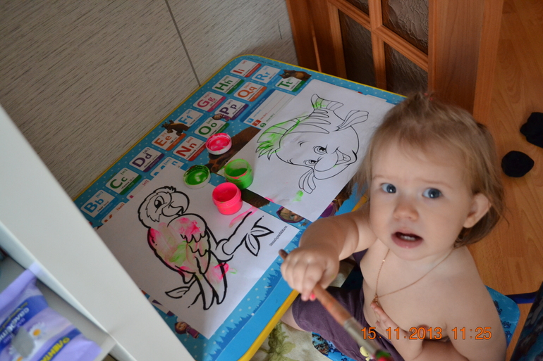 ТН Домашние животные