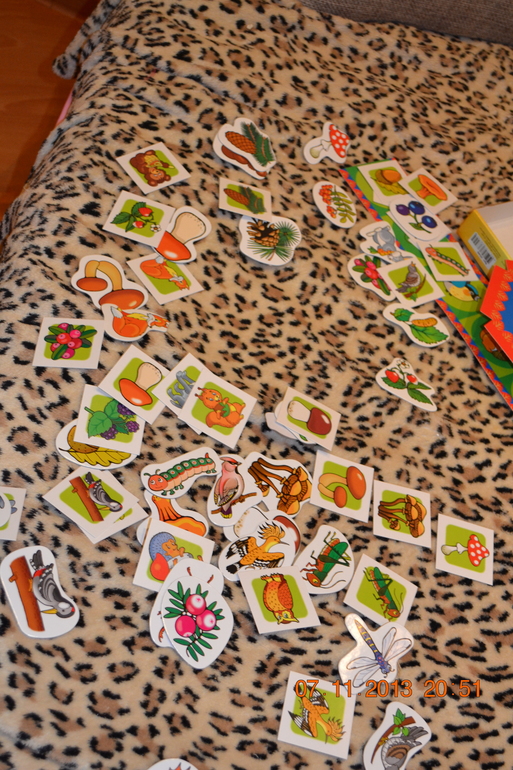 ТН ДИКИЕ ЖИВОТНЫЕ