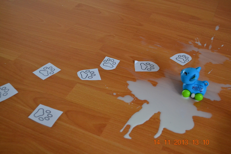 ТН Домашние животные