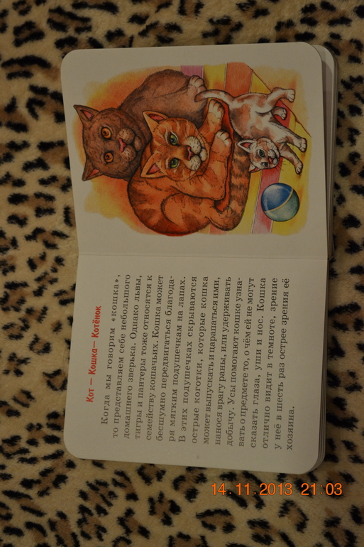 ТН Домашние животные