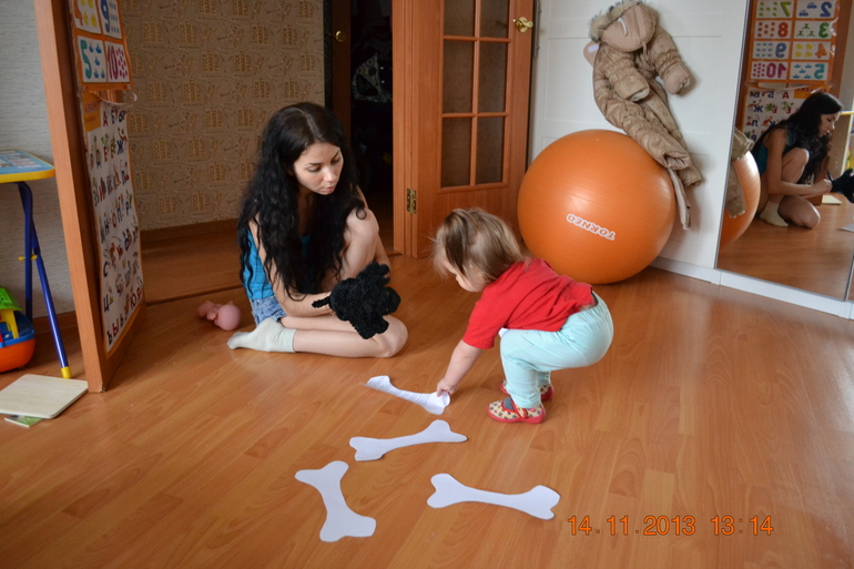 ТН Домашние животные