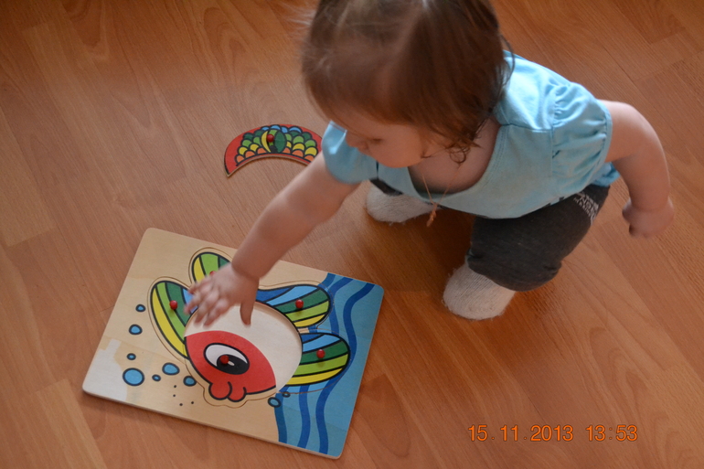 ТН Домашние животные