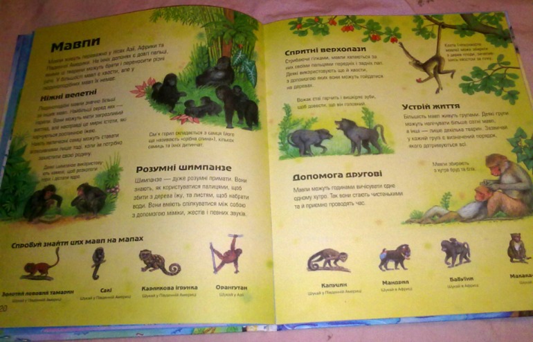 К зиме и не только