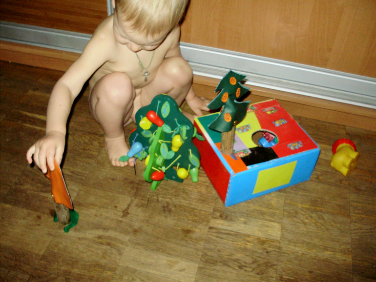 Лесной день