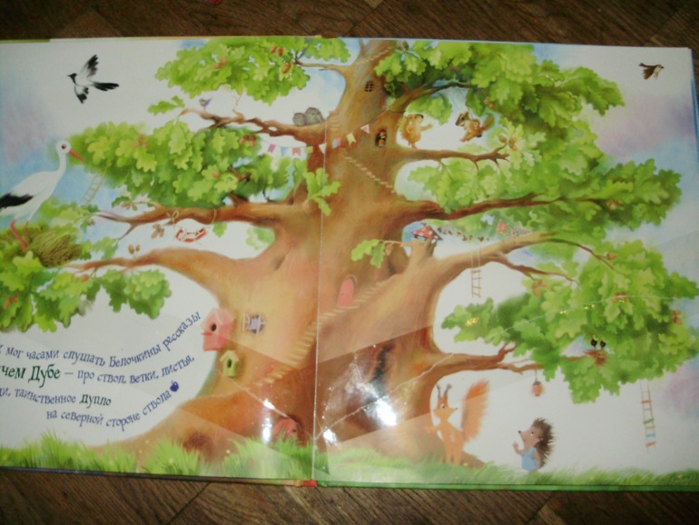 Лесной день