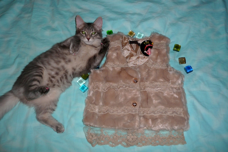 В наличии 110 и 120 размеры! Меховые жилетки с кружевомм, цена 595 руб!