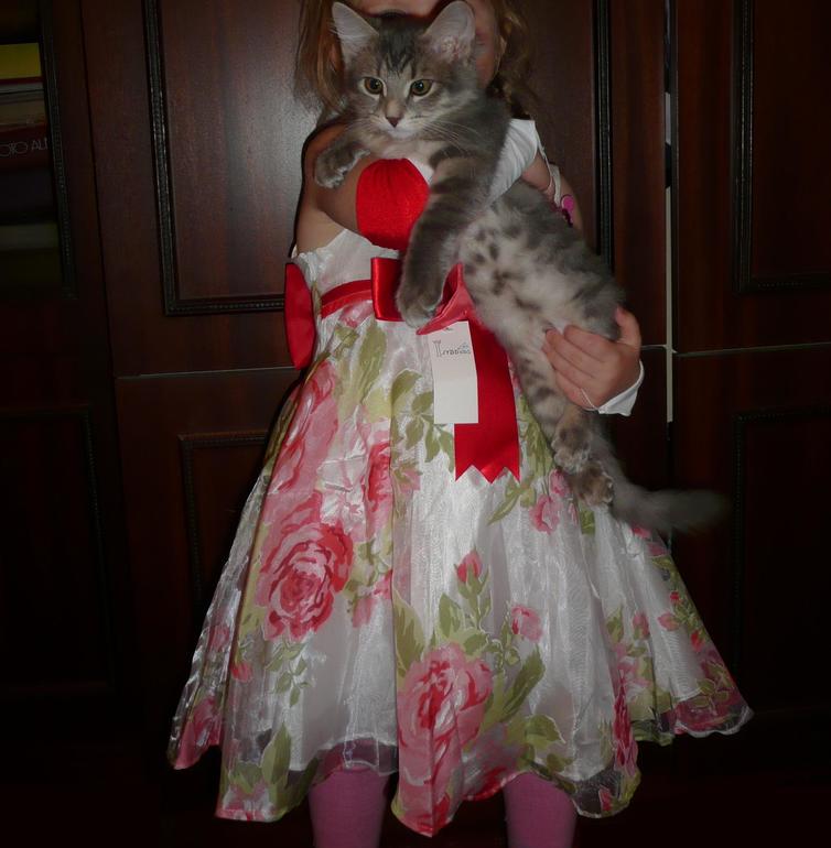 2 выкуп! Платье с розами, цена 495 руб!