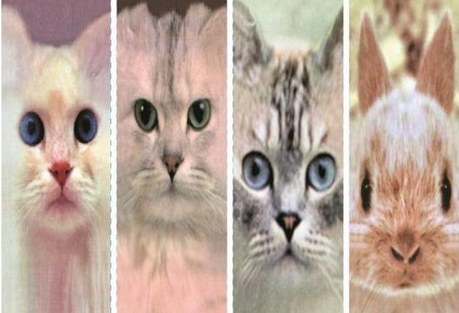 Хлопковые 3D носки, цена 70 руб! Расцветки микс из 8 видов!