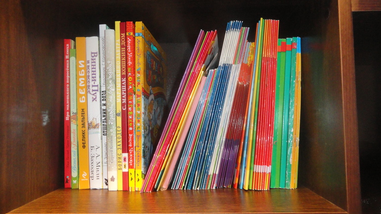 Ромашкины книжные полочки)