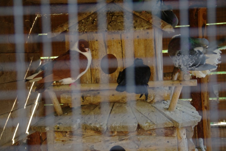 Бердянск, как и где правильно отдыхать!