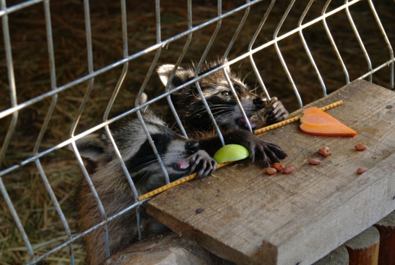 Бердянск, как и где правильно отдыхать!