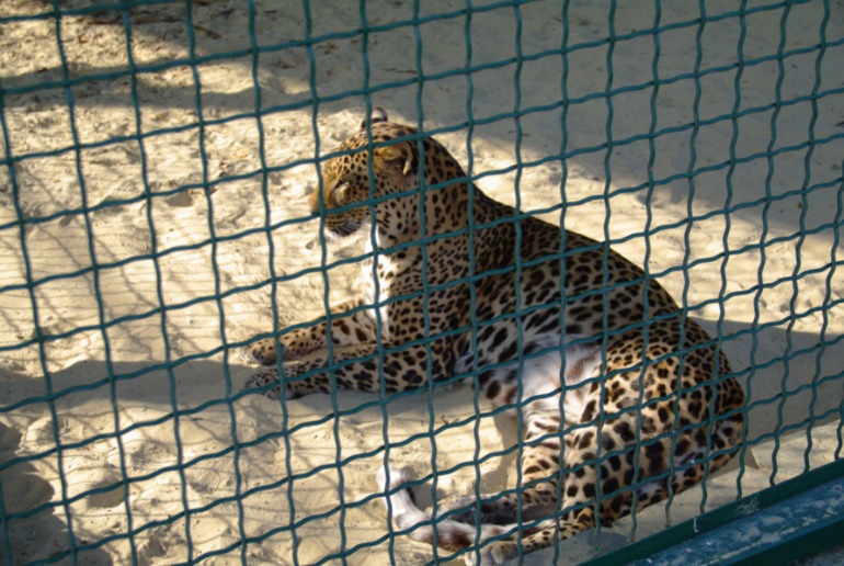 Бердянск, как и где правильно отдыхать!