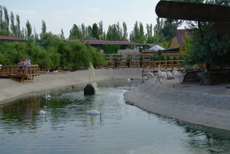 Бердянск, как и где правильно отдыхать!