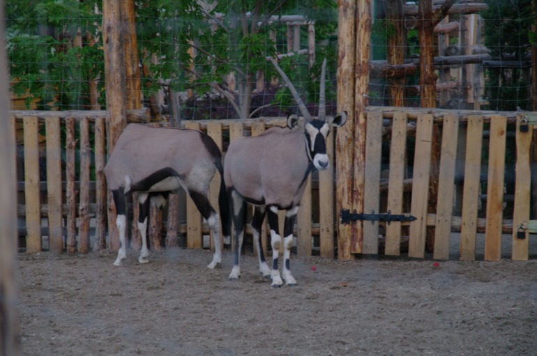 Бердянск, как и где правильно отдыхать!