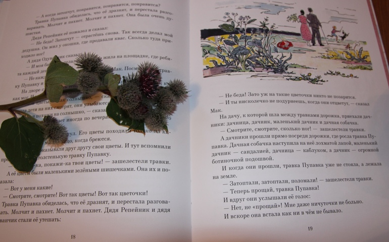 ff6cbcc78fb37197bd5b9832f0e675f6.jpg