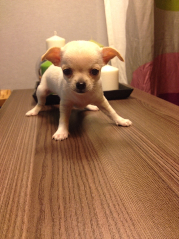 Актировка у малышей)