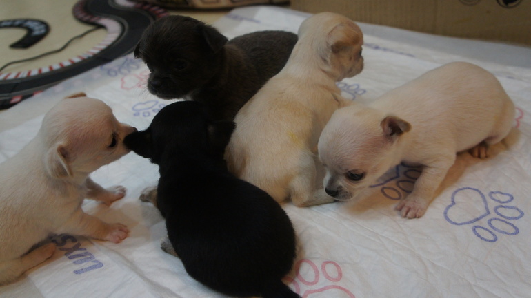 через 3 дня месяц)