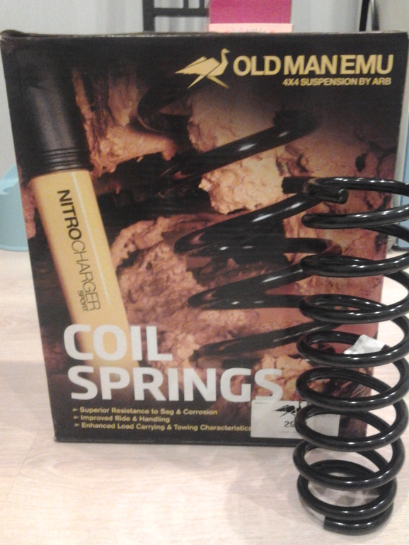 Моя мечта...